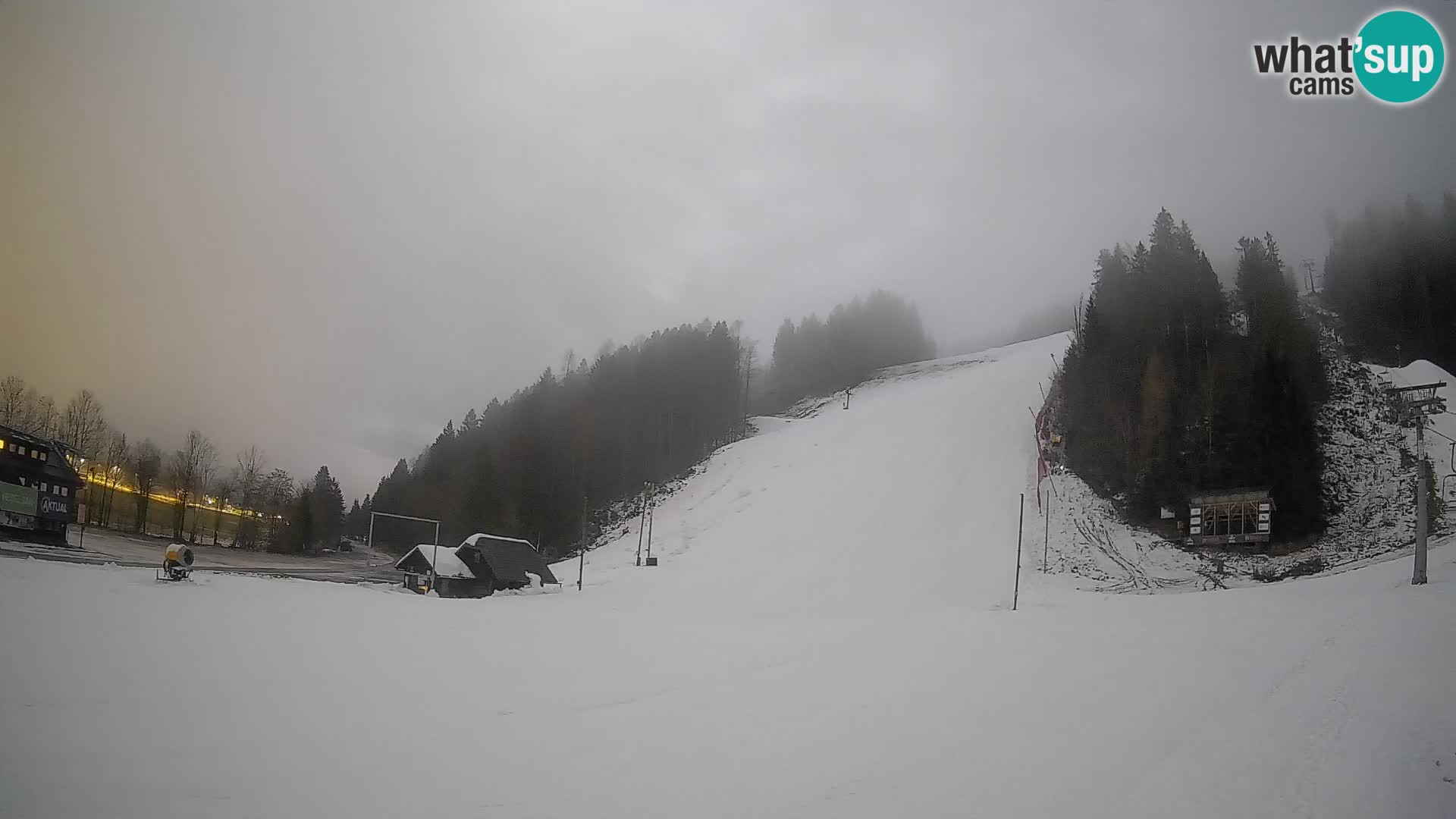 Podkoren Webcam Kranjska Gora | Finish of Giant slalom