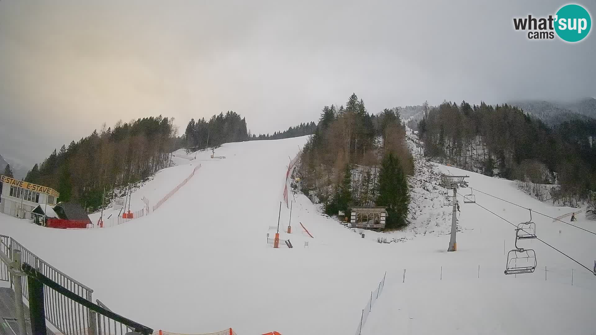 Podkoren / Kranjska Gora – Ziel Riesenslalom