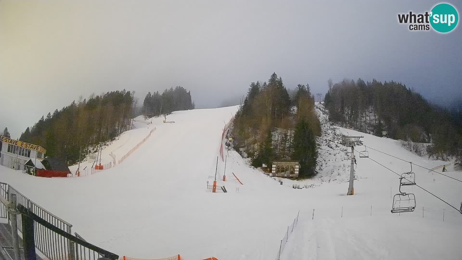Podkoren / Kranjska Gora – Ziel Riesenslalom