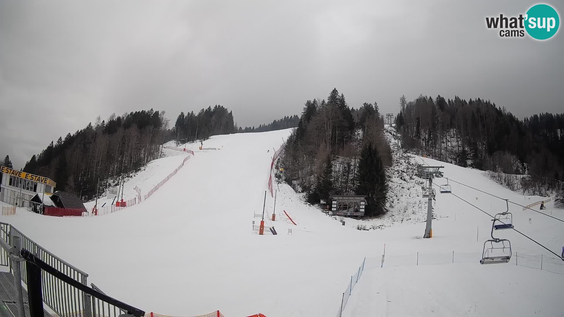 Podkoren / Kranjska Gora –  Meta Slalom gigante
