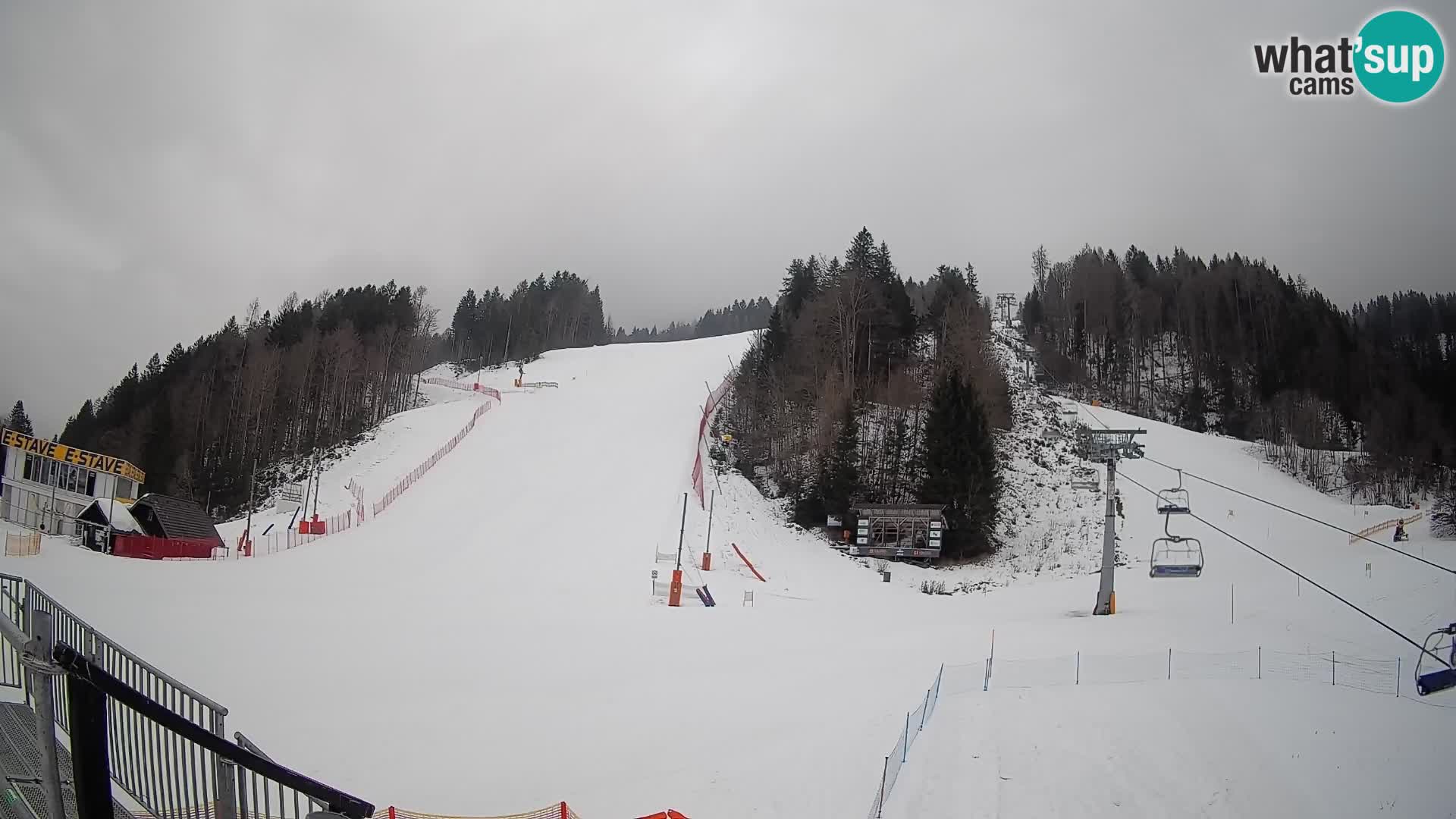 Podkoren / Kranjska Gora –  Meta Slalom gigante