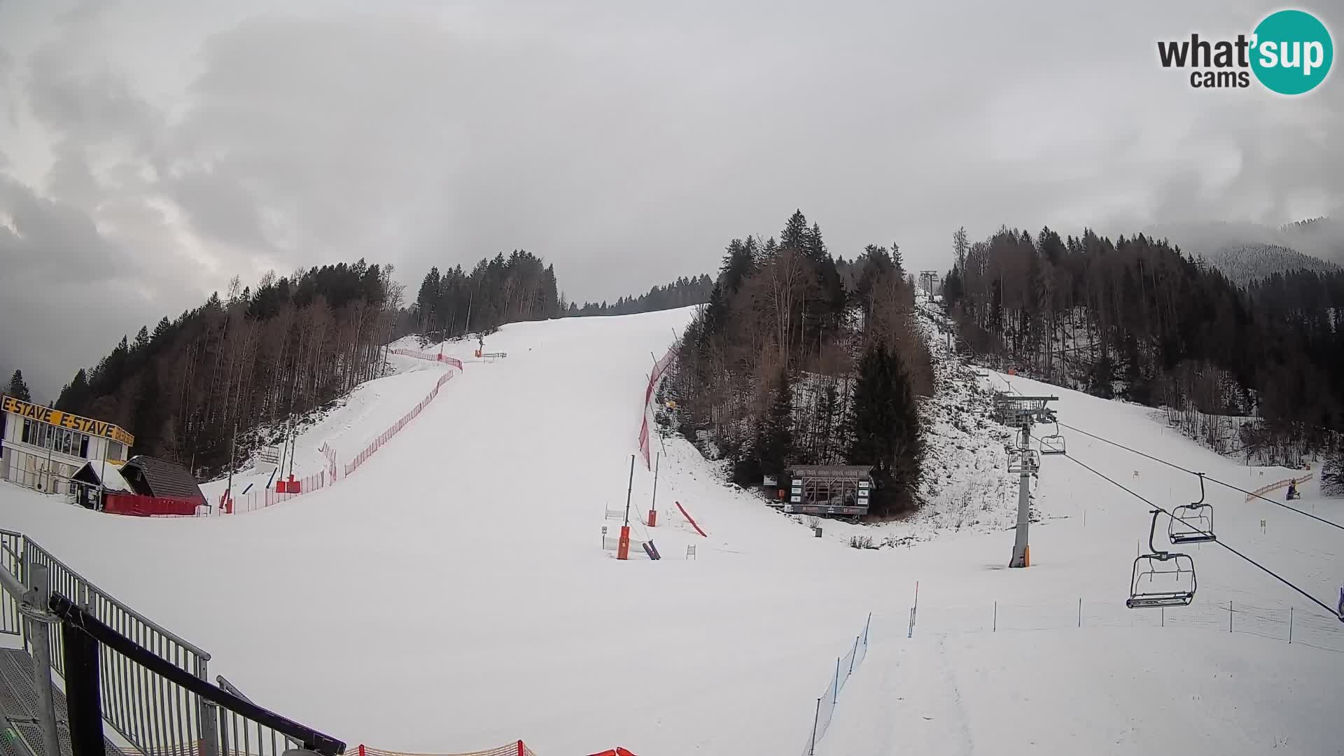 Podkoren / Kranjska Gora –  Meta Slalom gigante