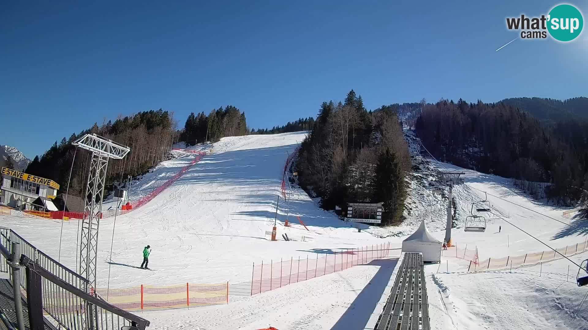 Podkoren / Kranjska Gora – Arrivo slalom gigante