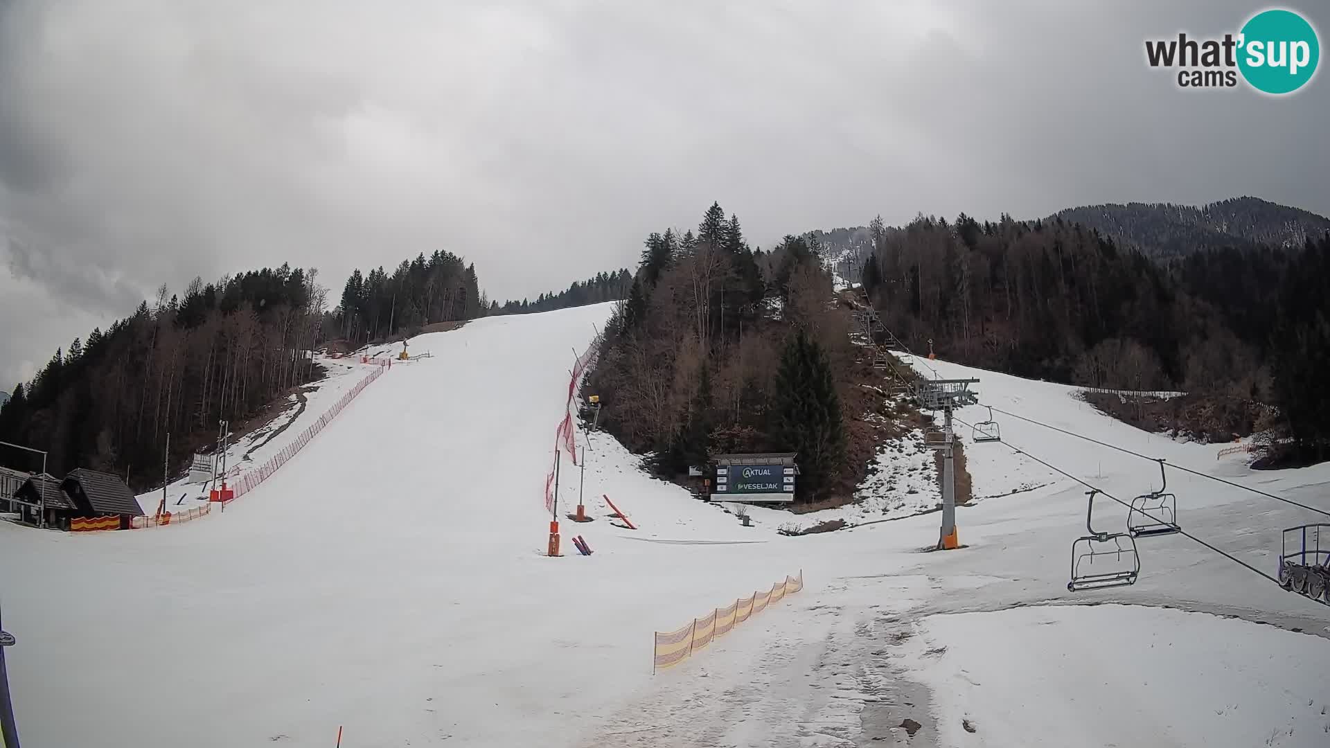Podkoren / Kranjska Gora – Arrivo slalom gigante
