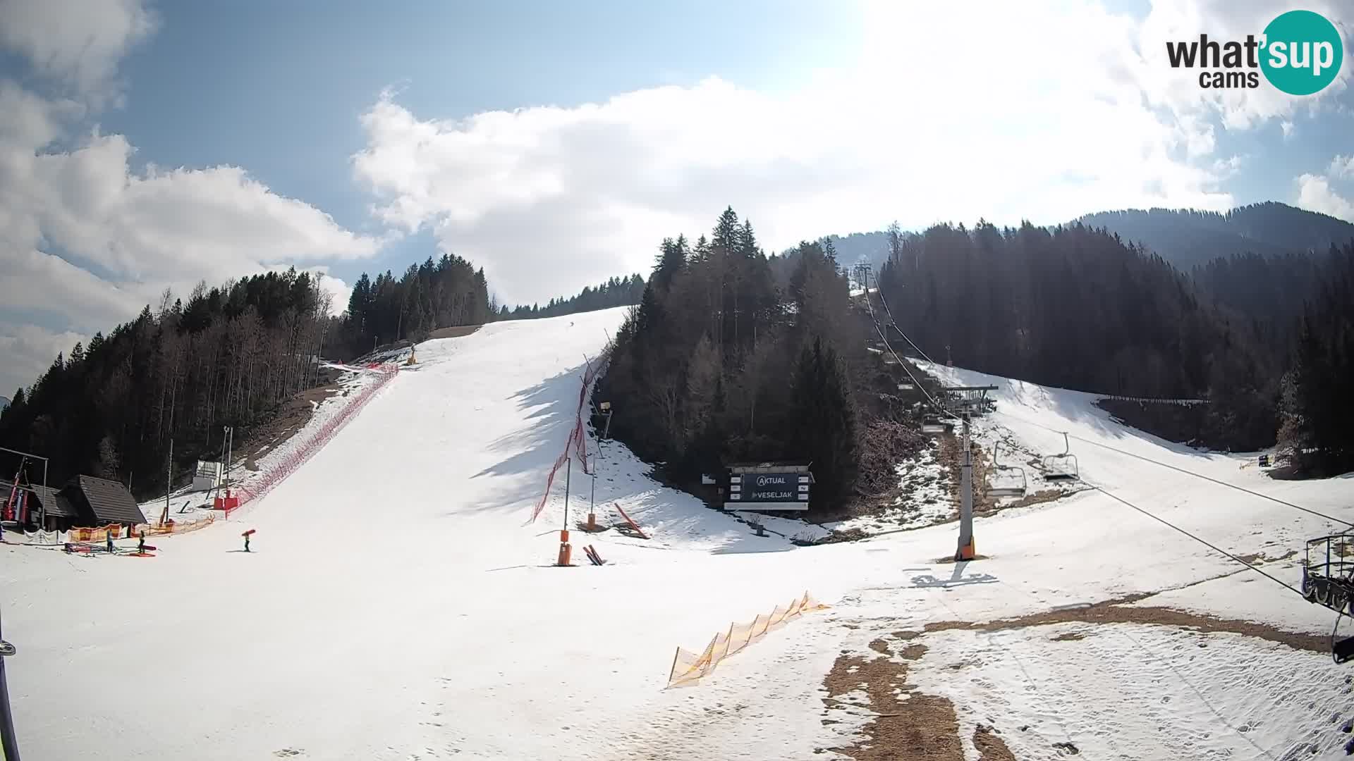 Podkoren / Kranjska Gora – Arrivo slalom gigante