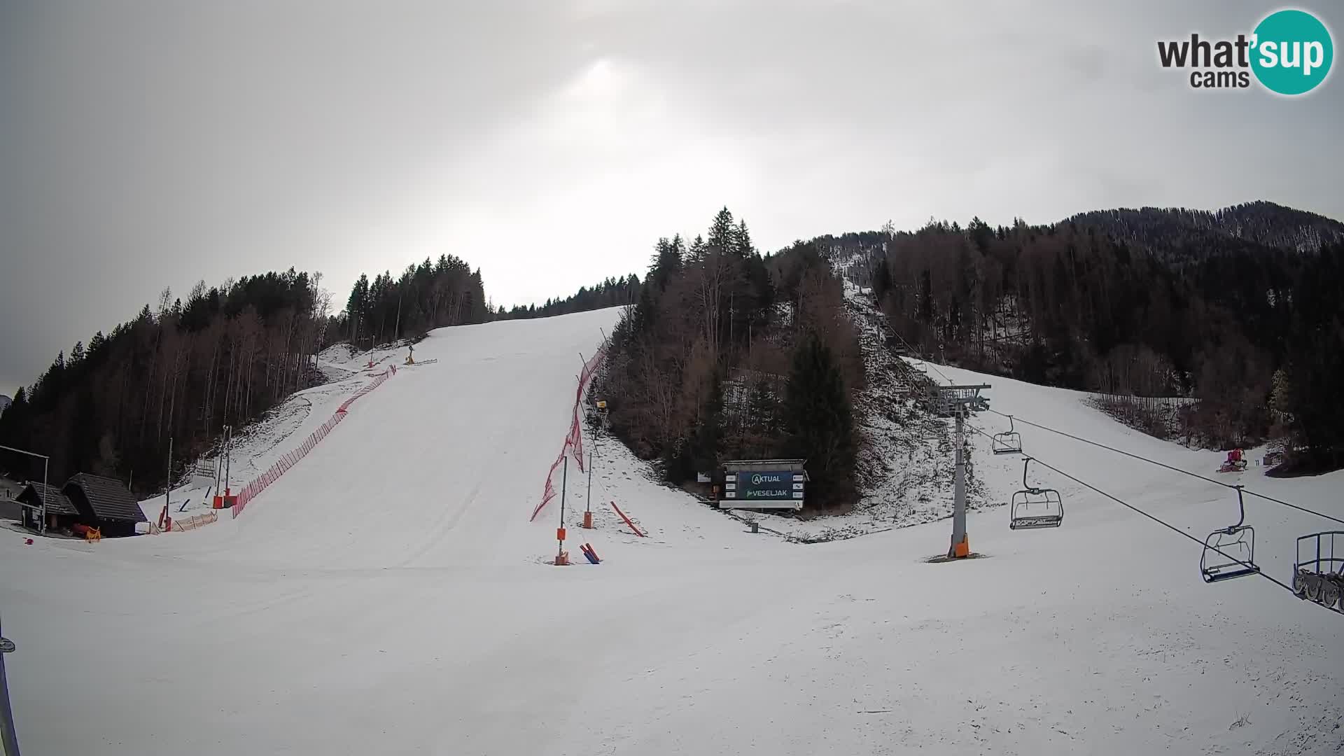 Podkoren / Kranjska Gora – Ziel Riesenslalom