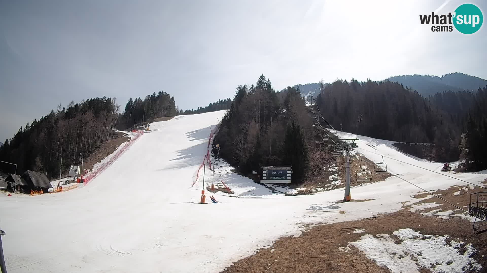 Podkoren Webcam Kranjska Gora | Finish of Giant slalom