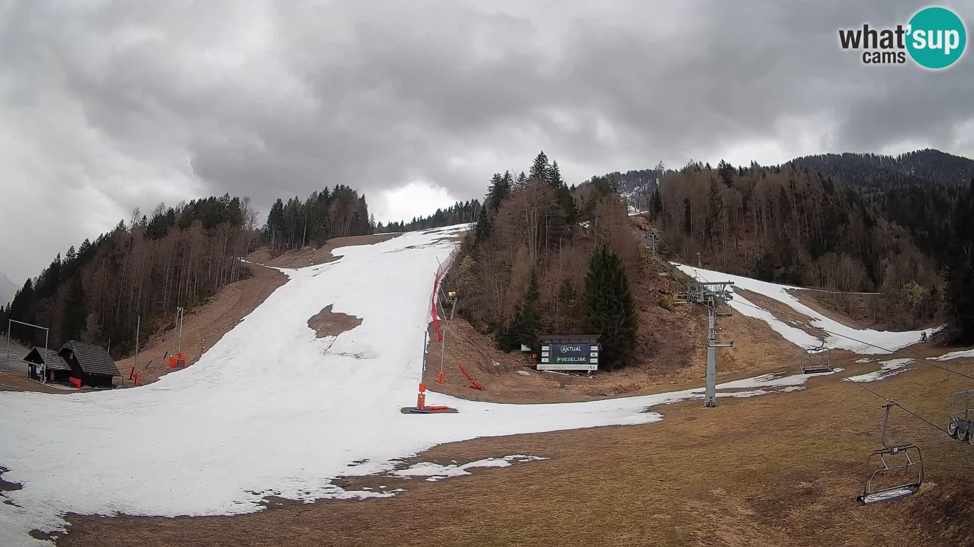 Podkoren Webcam Kranjska Gora | Finish of Giant slalom