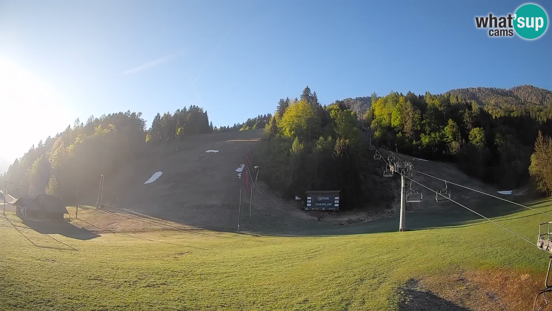 Podkoren / Kranjska Gora – Ziel Riesenslalom