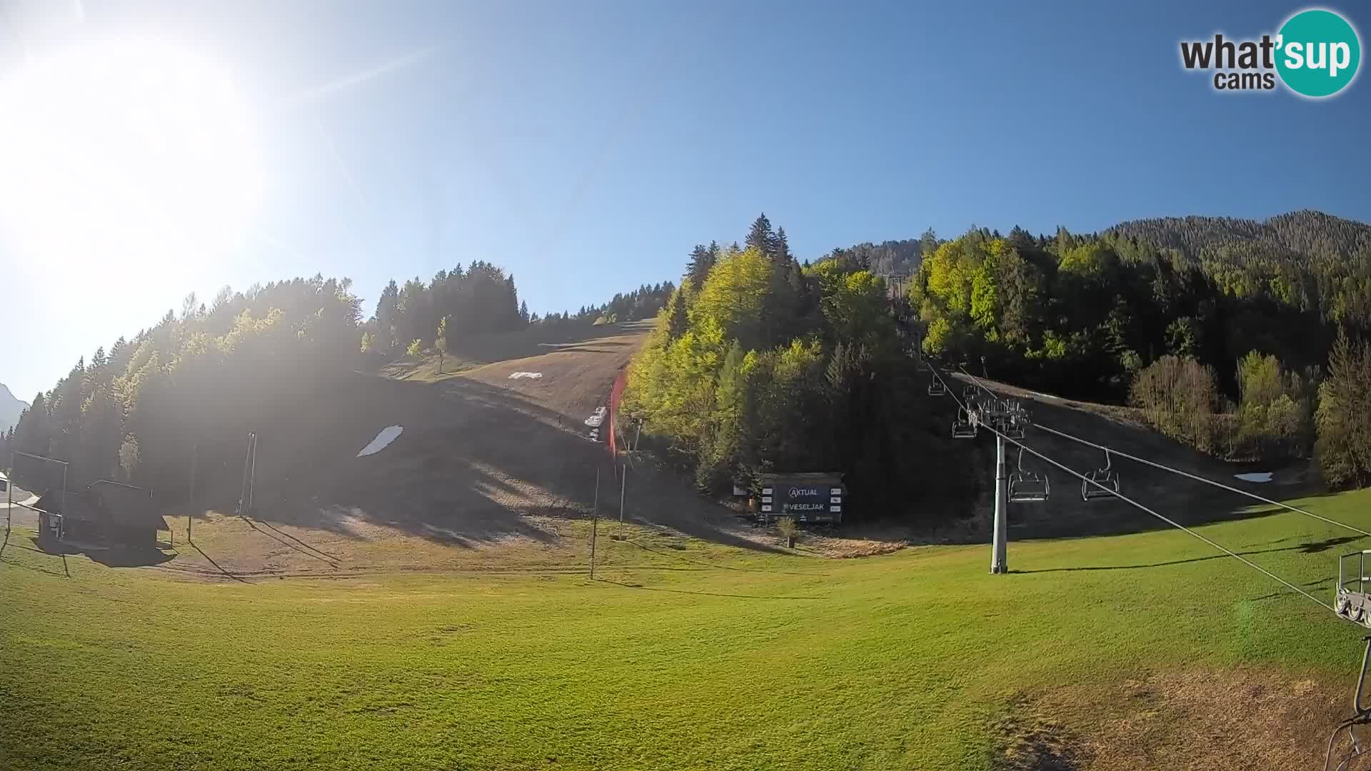 Podkoren / Kranjska Gora – Ziel Riesenslalom