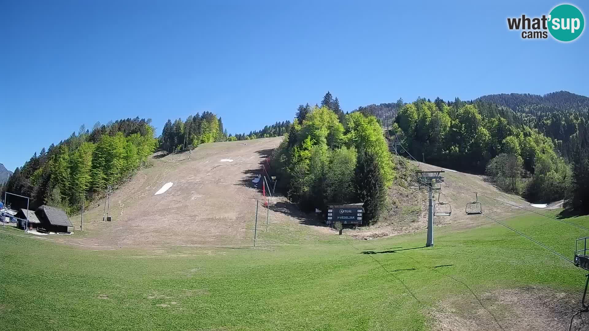 Podkoren / Kranjska Gora – Cilj veleslaloma svjetskog kupa