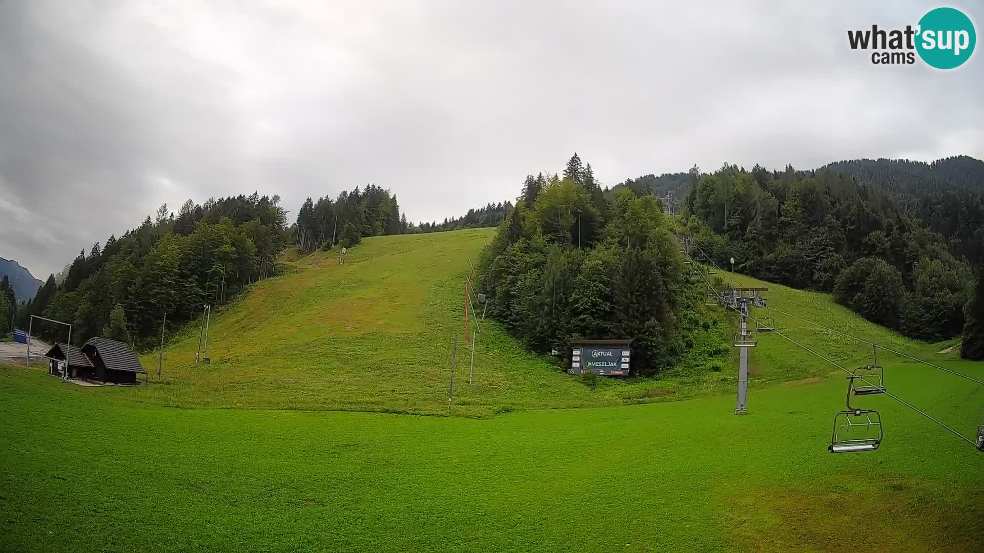 Podkoren Webcam Kranjska Gora | Finish of Giant slalom