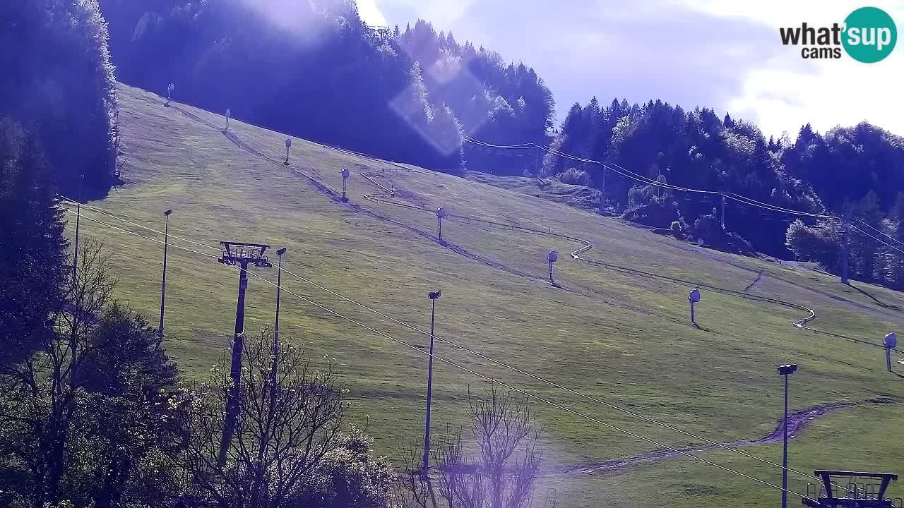Webcam Ski resort Kranjska Gora – Slovenia