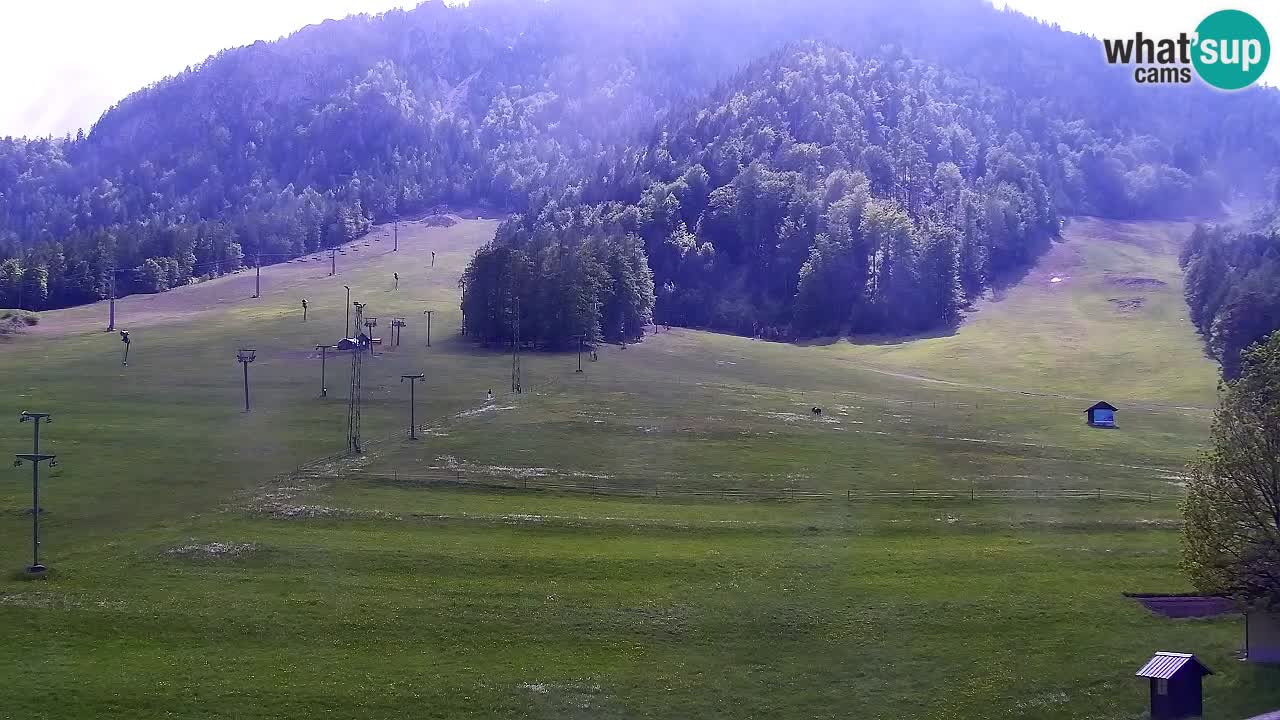 Webcam Ski resort Kranjska Gora – Slovenia