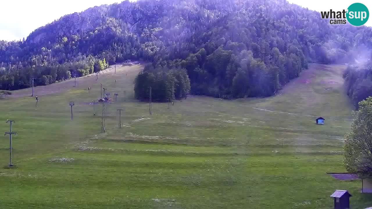 Webcam Ski resort Kranjska Gora – Slovenia