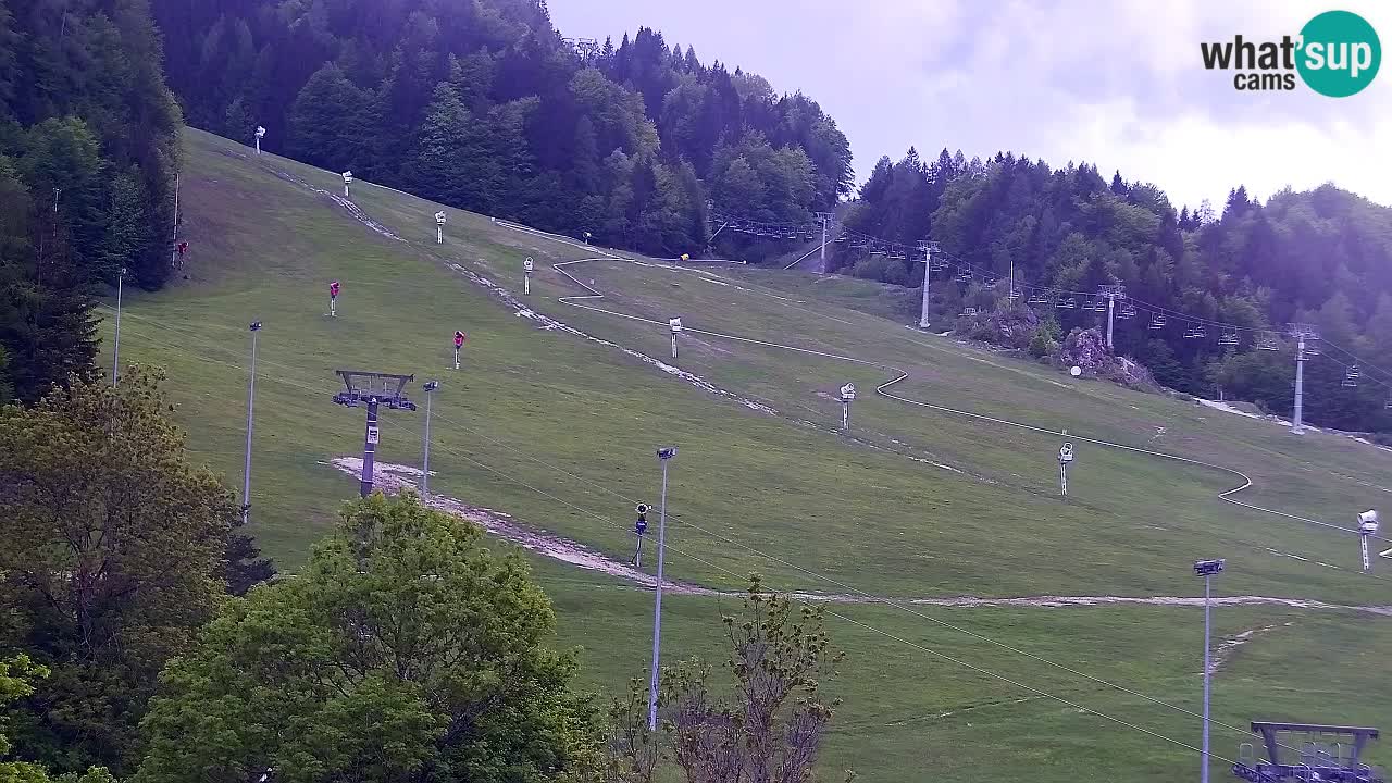 Webcam Ski resort Kranjska Gora – Slovenia