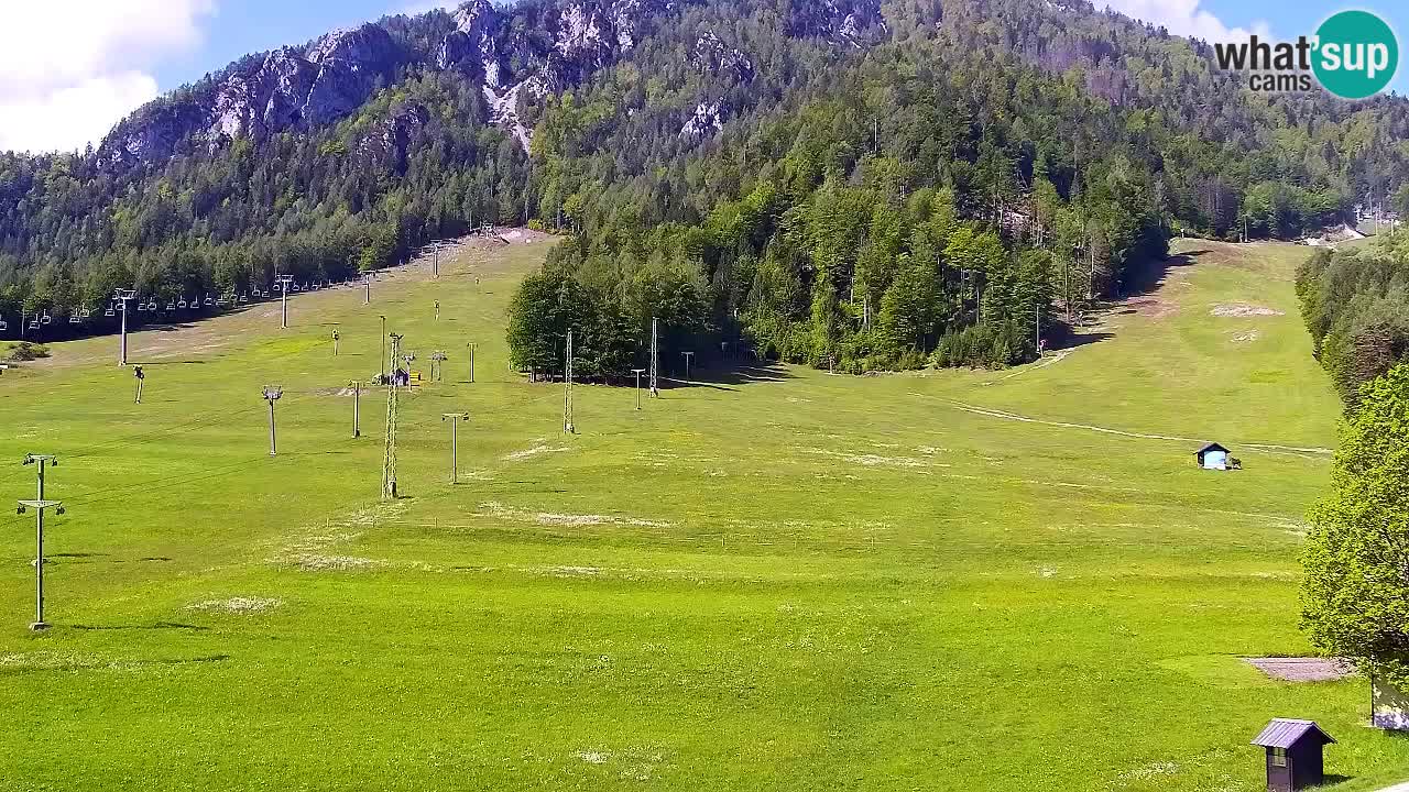 Webcam Station de ski Kranjska Gora – Slovénie