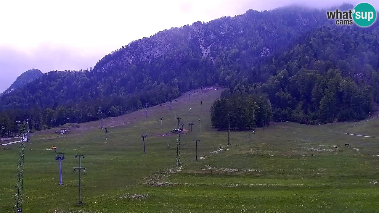 Webcam Skigebiet Kranjska Gora – Slowenien