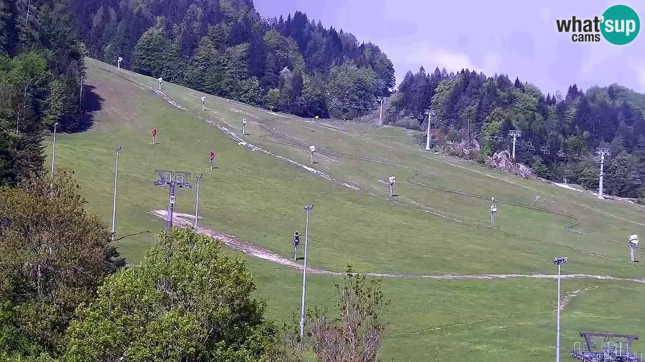 Webcam Comprensorio sciistico Kranjska Gora – Slovenia