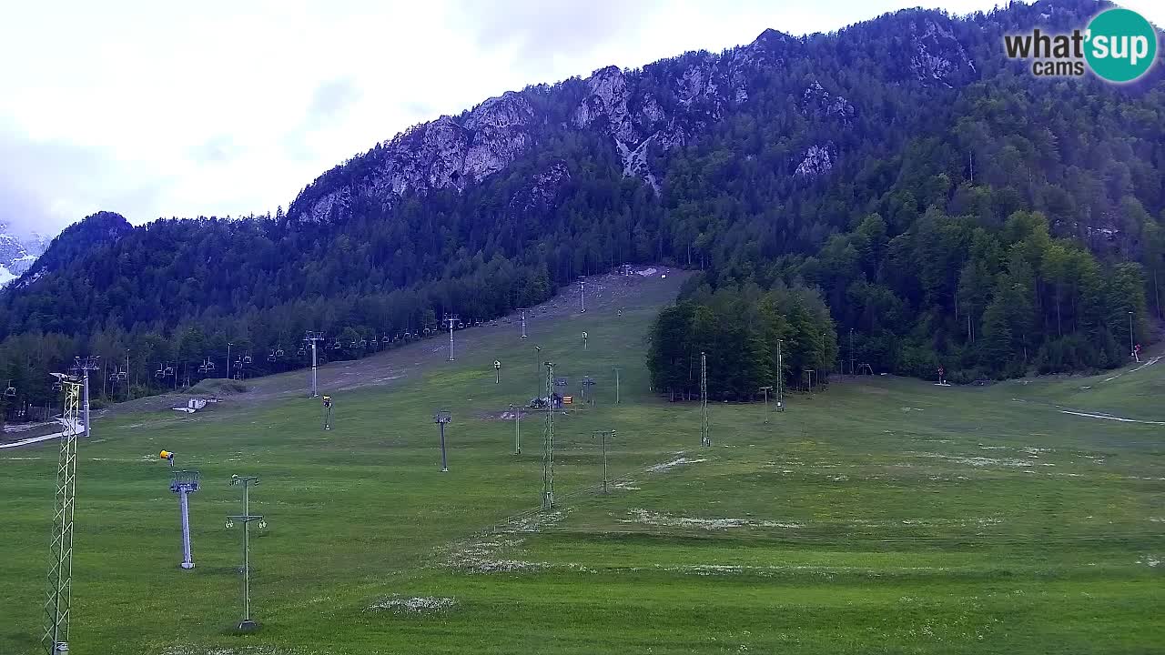 Webcam Ski resort Kranjska Gora – Slovenia