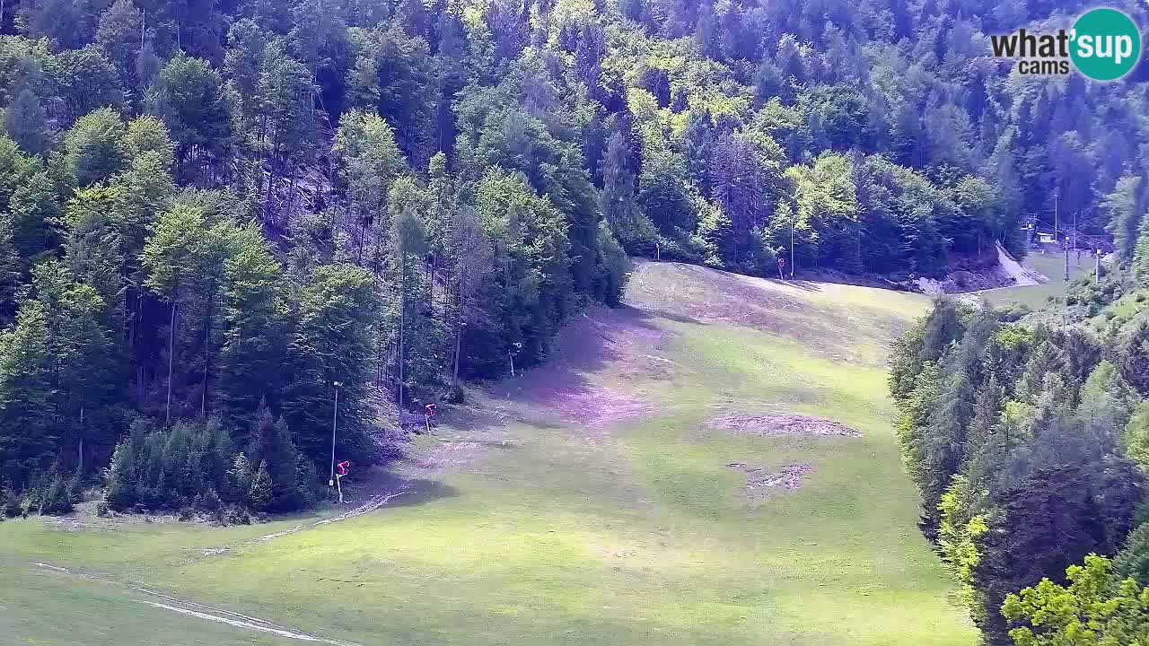 Webcam Comprensorio sciistico Kranjska Gora – Slovenia
