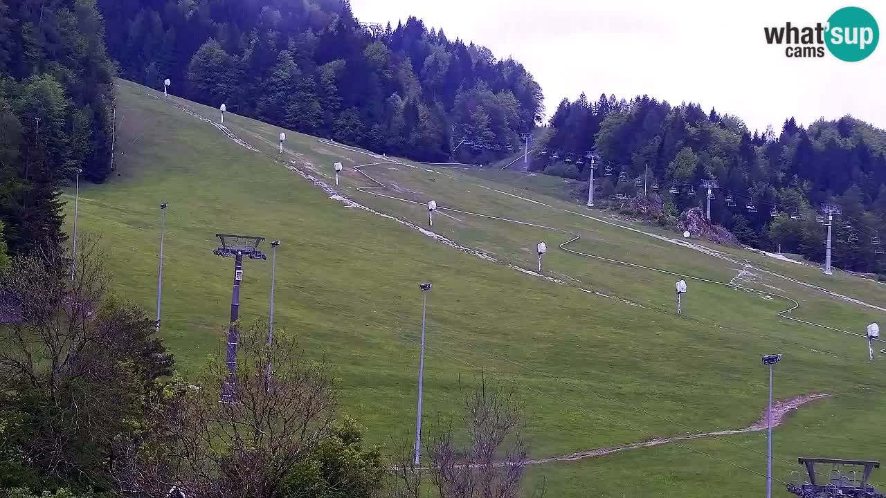 Webcam Station de ski Kranjska Gora – Slovénie