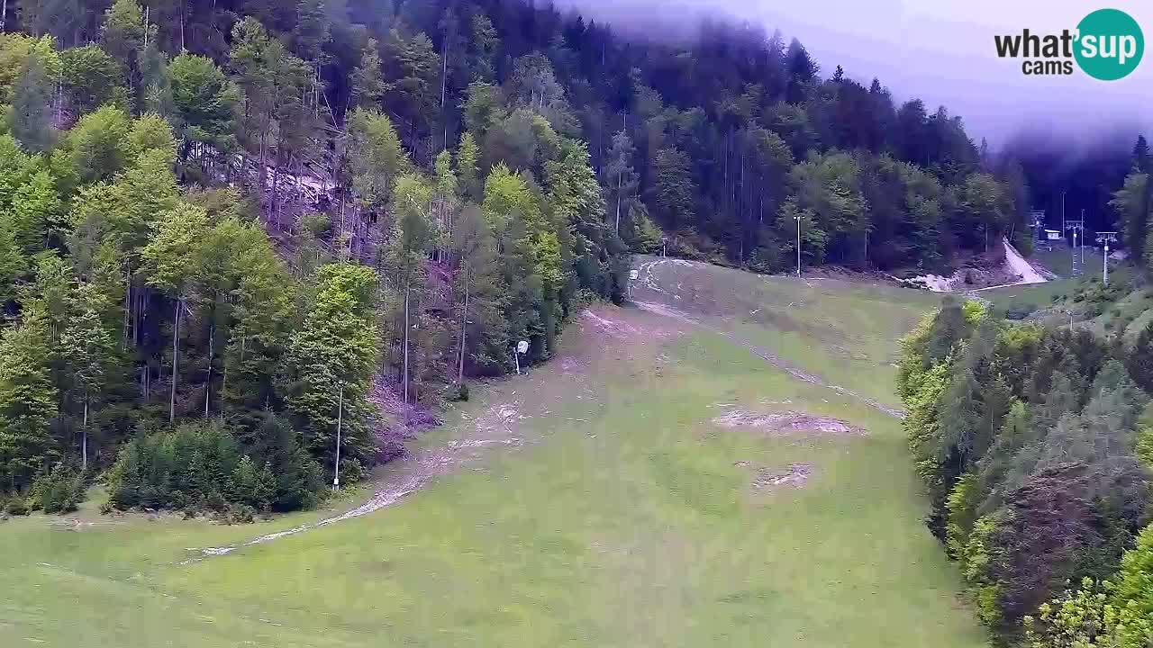 Webcam Kranjska Gora SKI resort | Bech, Kekec, Mojca ski slope