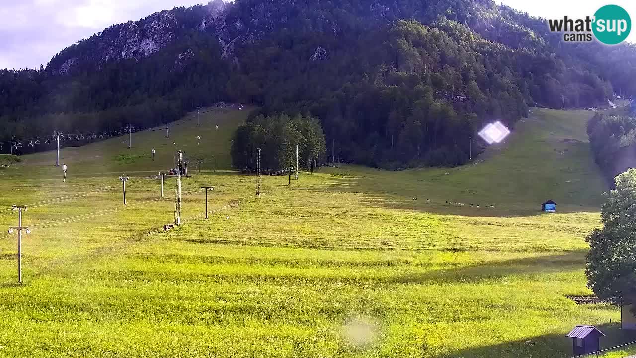 Webcam Skigebiet Kranjska Gora – Slowenien