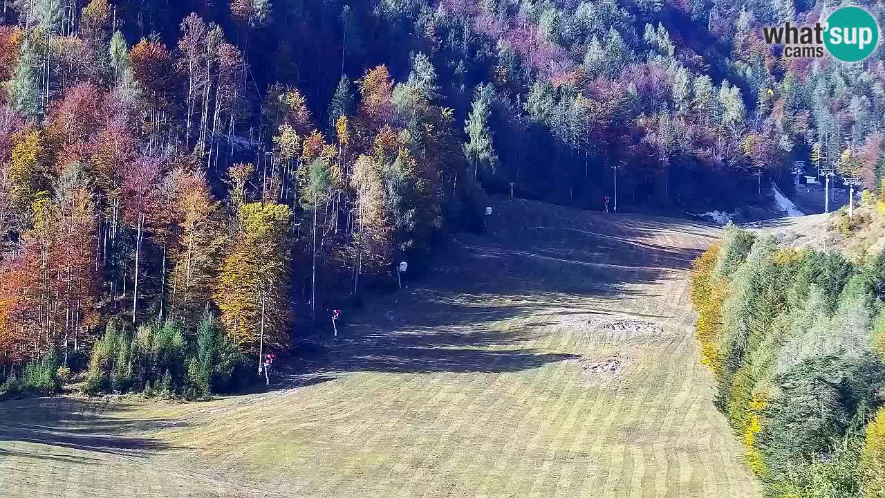 Webcam Kranjska Gora SKI resort | Bech, Kekec, Mojca ski slope