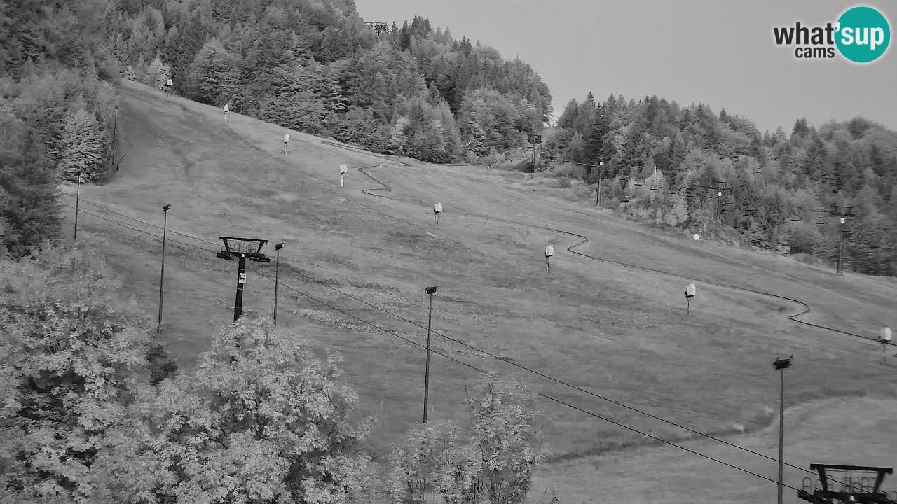 Webcam Kranjska Gora SKI – panoramica Piste centrali