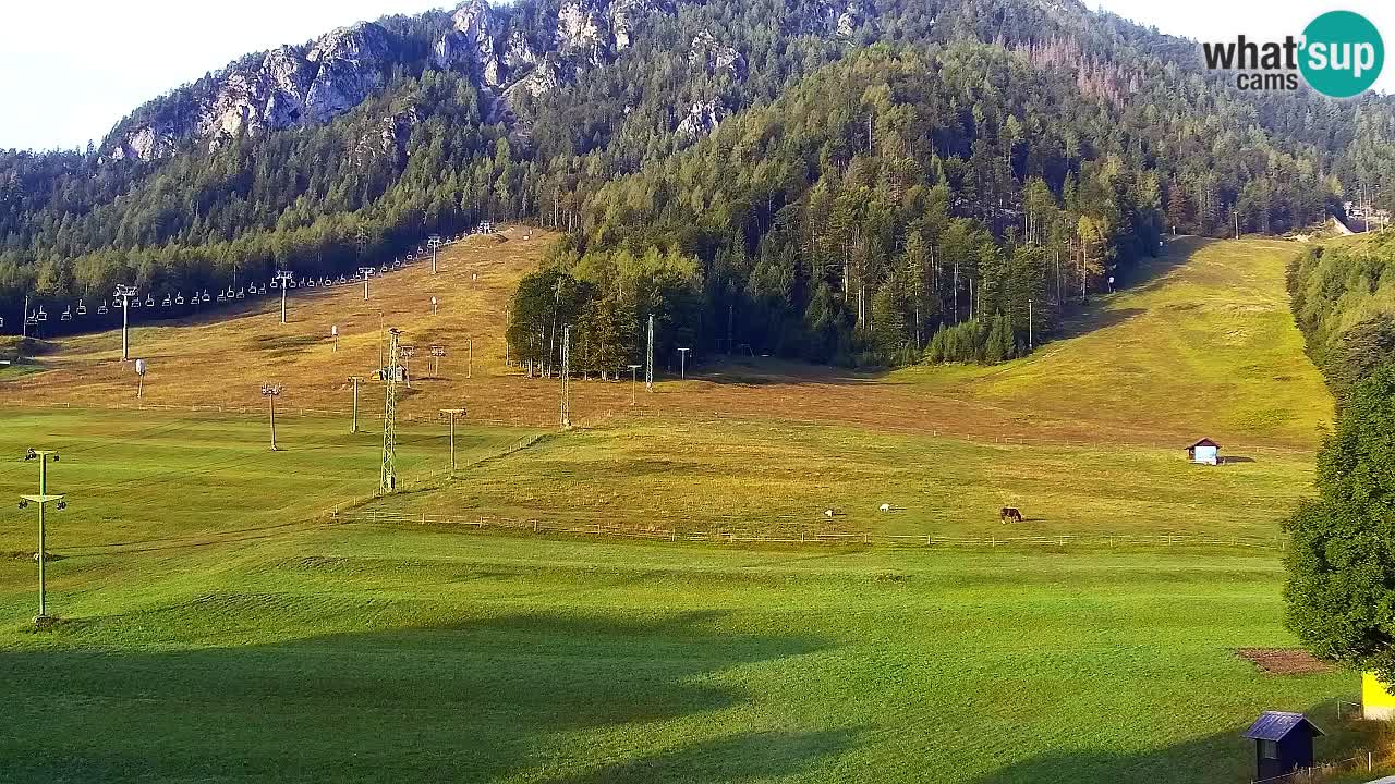 Webcam Kranjska Gora SKI – panoramica Piste centrali