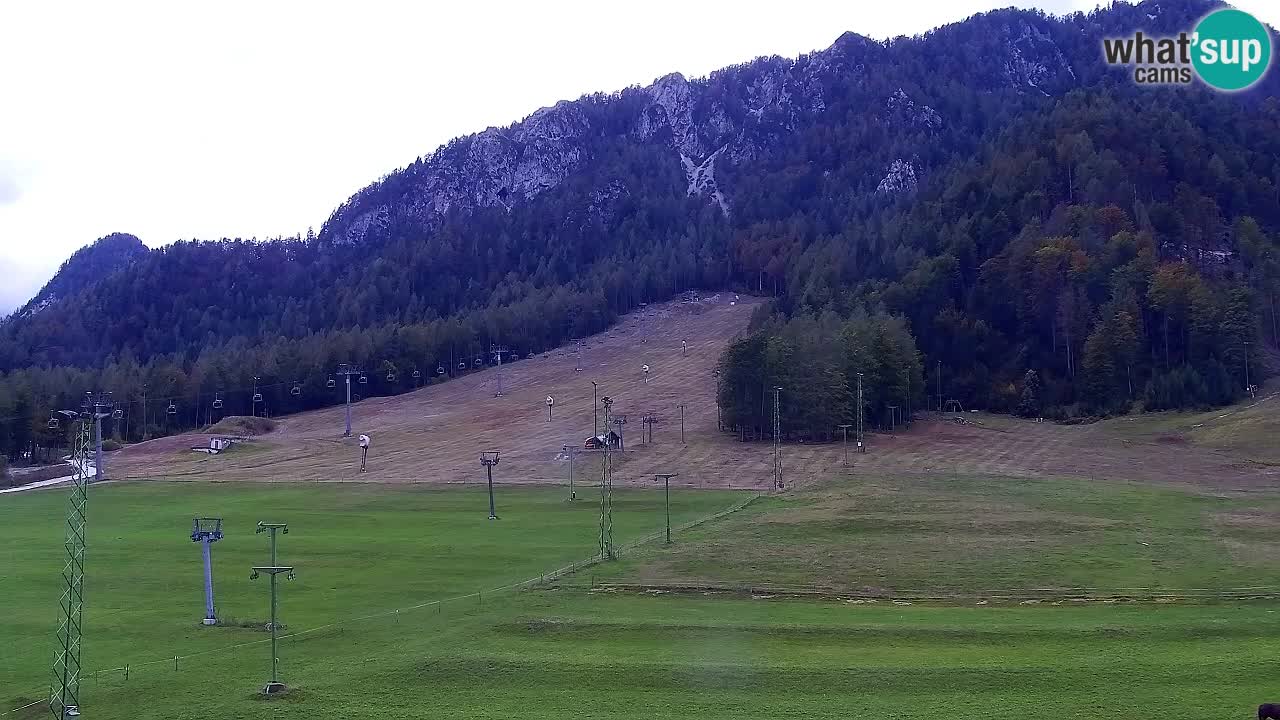 Web kamera Kranjska Gora Skijalište | Proge Mojca in Kekec