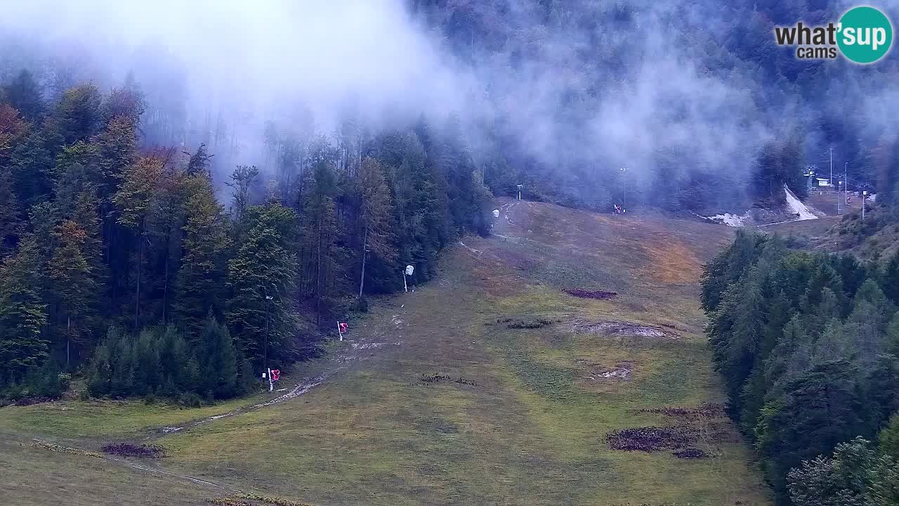 Webcam Station de ski Kranjska Gora – Slovénie