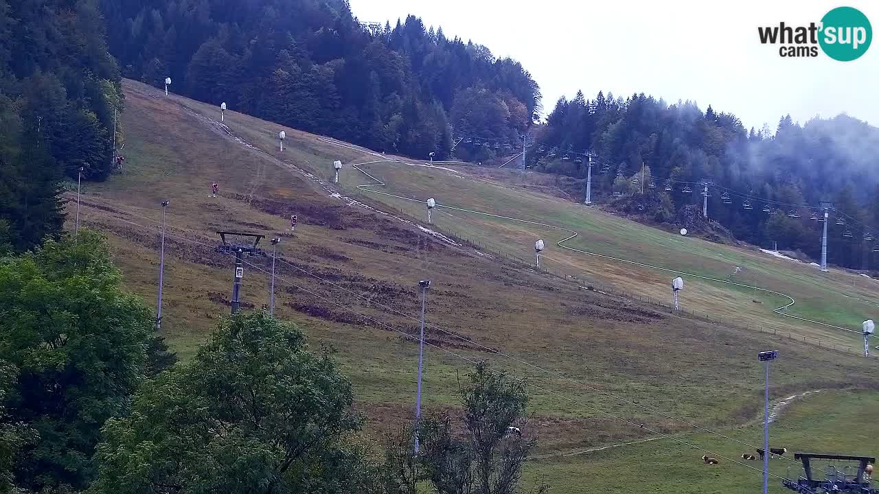 Webcam Kranjska Gora SKI – panoramica Piste centrali