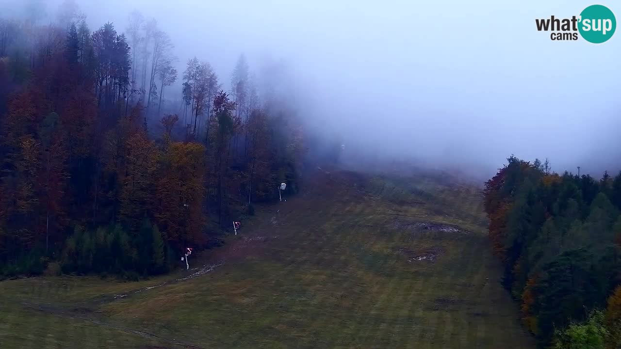 Webcam Station de ski Kranjska Gora – Slovénie