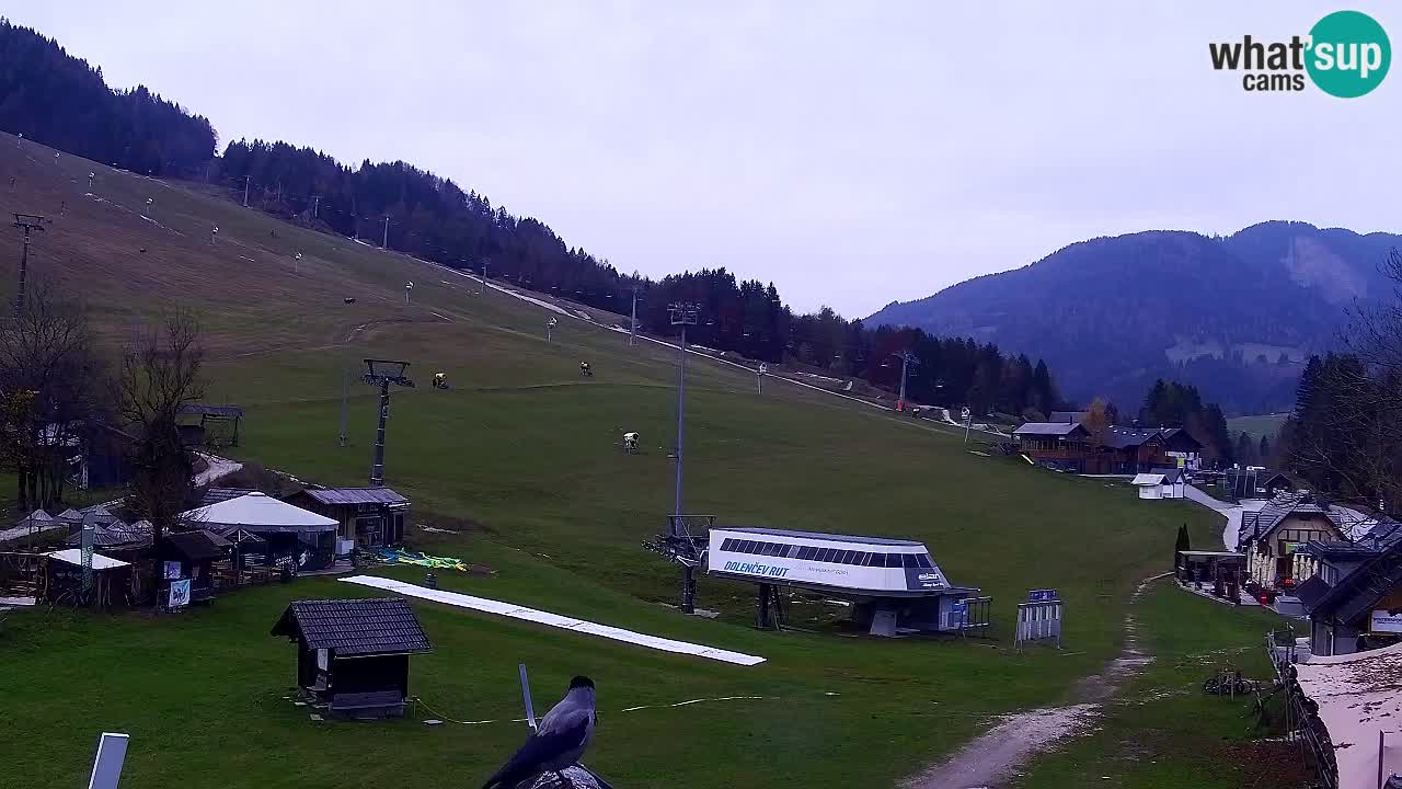 Webcam Kranjska Gora SKI – panoramica Piste centrali