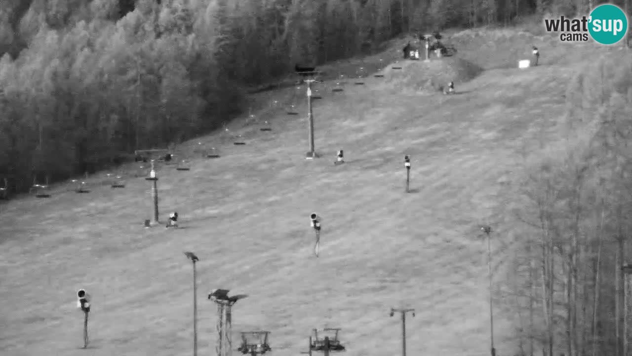 Webcam Kranjska Gora SKI – panoramica Piste centrali