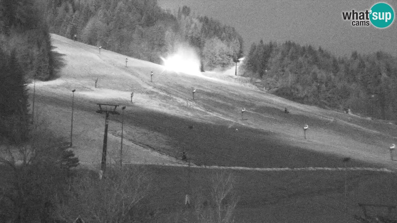 Webcam Kranjska Gora SKI – panoramica Piste centrali