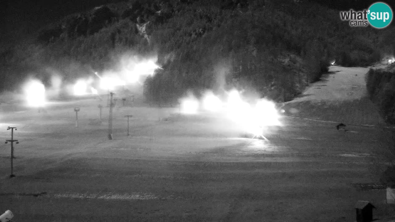 Webcam Kranjska Gora SKI – panoramica Piste centrali