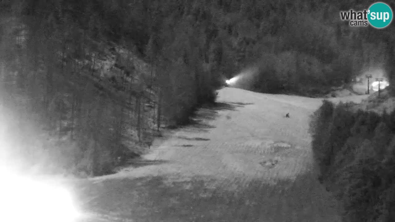 Webcam Skigebiet Kranjska Gora – Slowenien