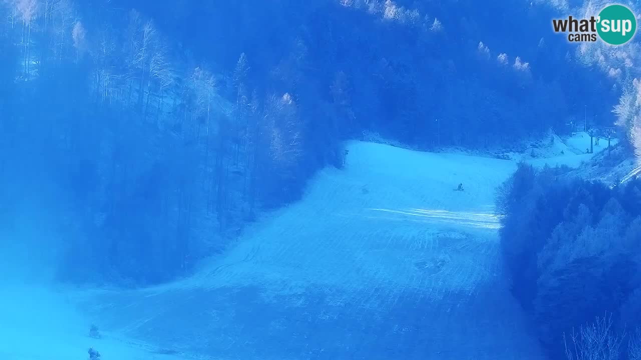 Spletna kamera Smučišče Kranjska Gora