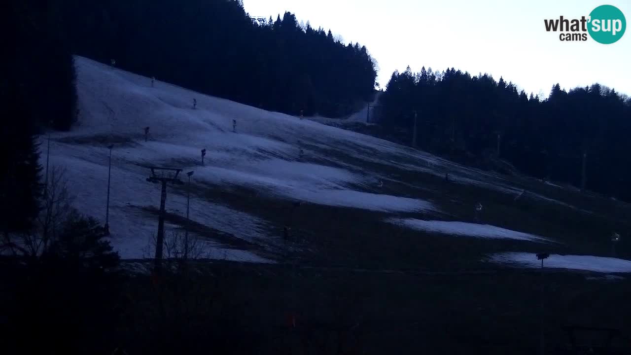 Webcam Kranjska Gora SKI – panoramica Piste centrali