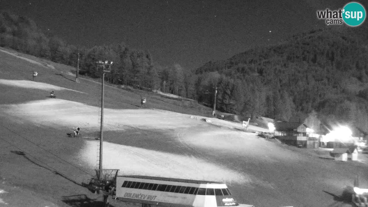 Webcam Kranjska Gora SKI – panoramica Piste centrali