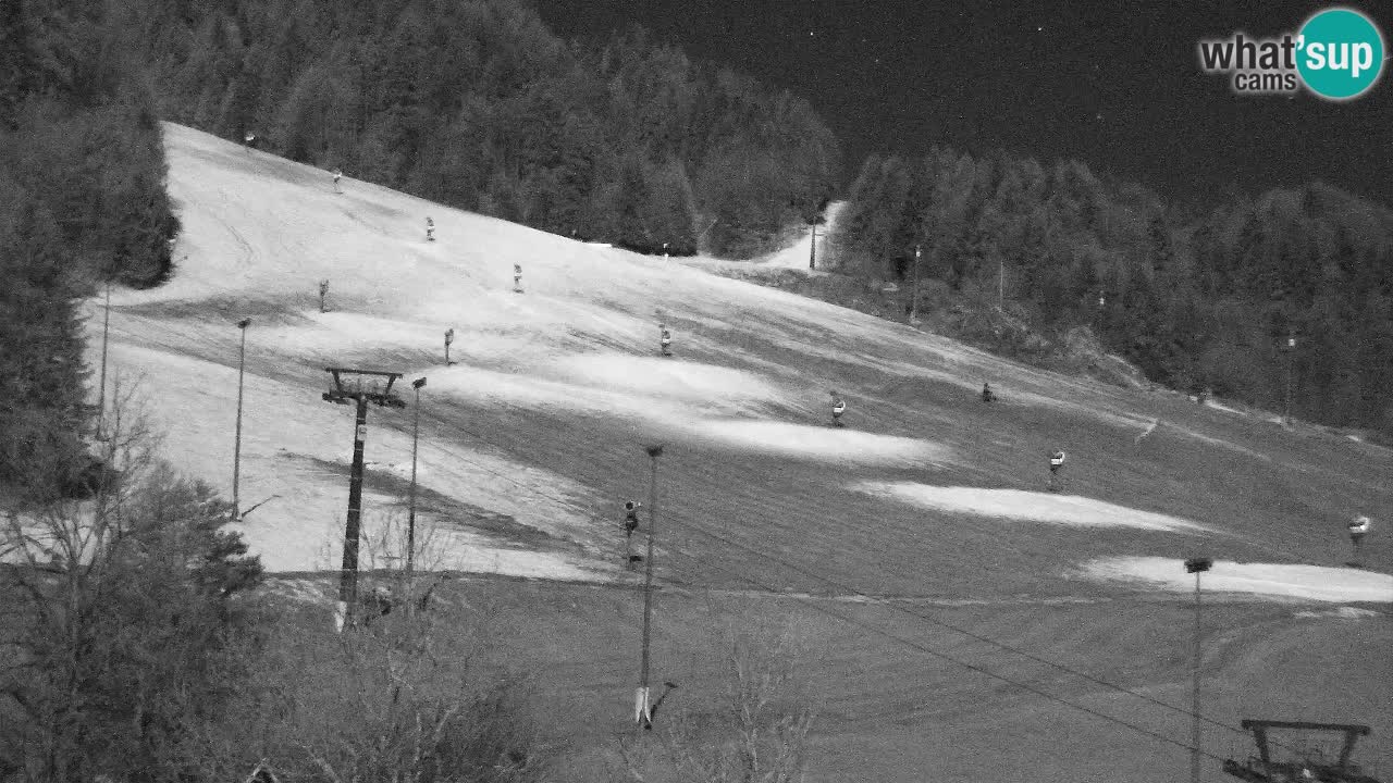 Webcam Kranjska Gora SKI – panoramica Piste centrali