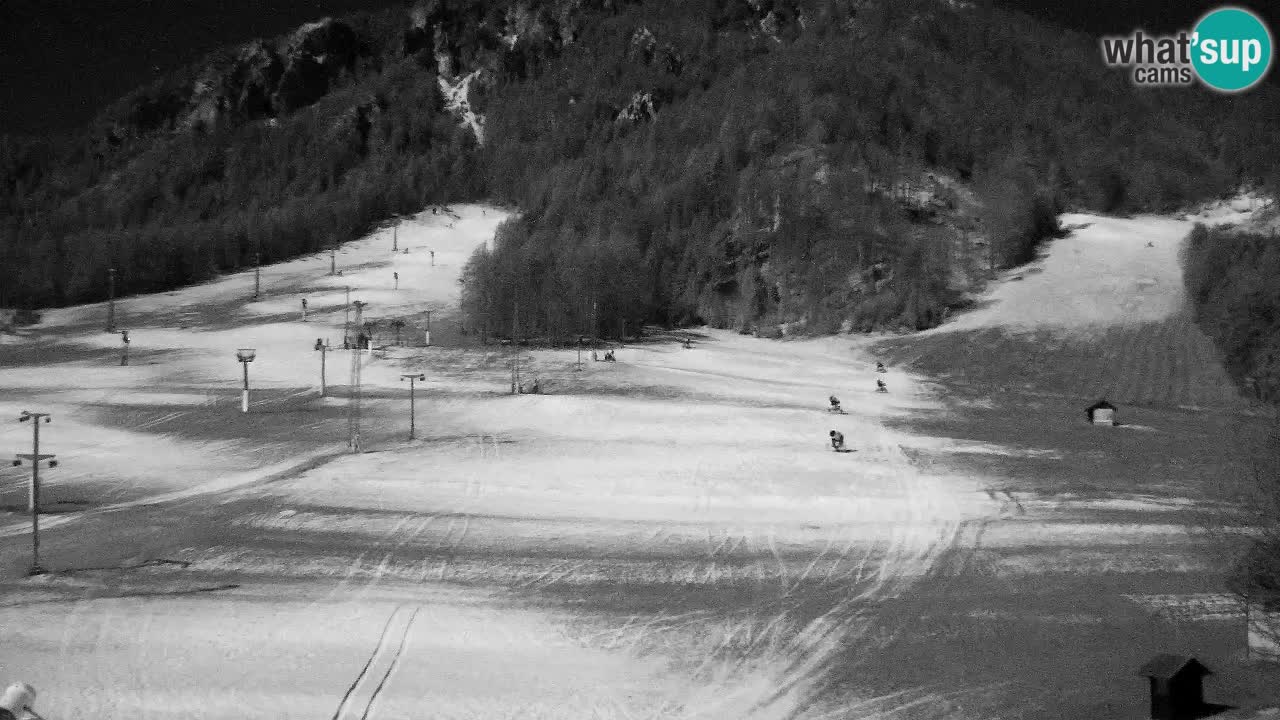 Webcam Kranjska Gora SKI – panoramica Piste centrali