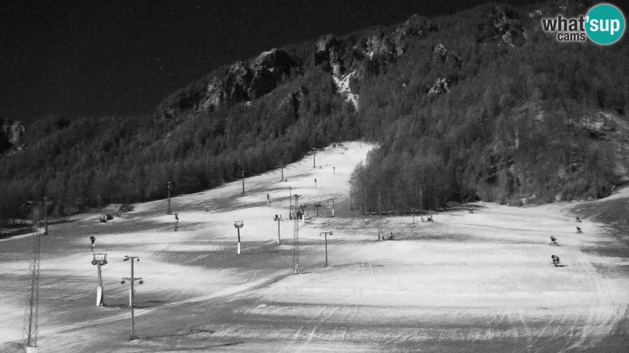 Webcam Kranjska Gora SKI – panoramica Piste centrali