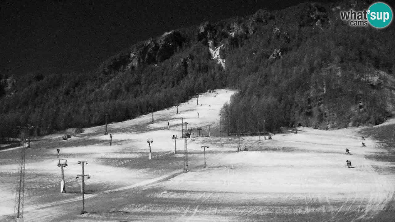 Webcam Kranjska Gora SKI – panoramica Piste centrali