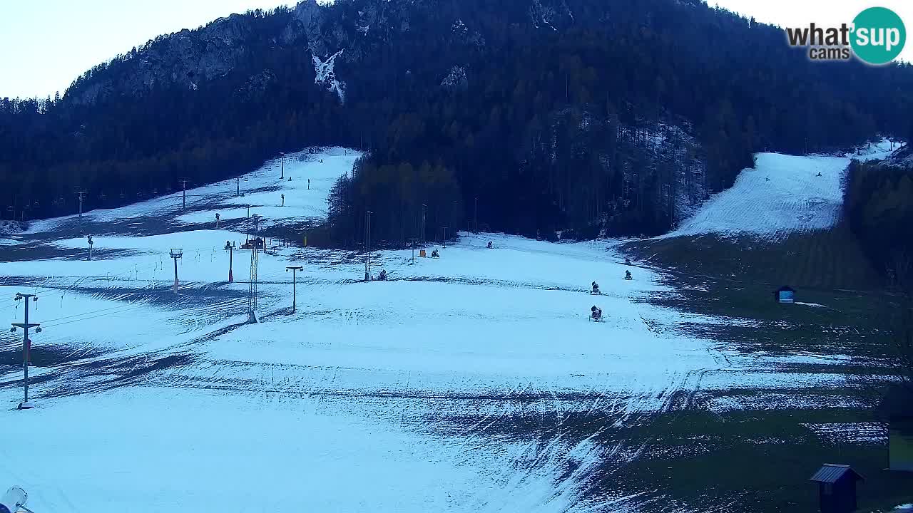 Webcam Kranjska Gora SKI resort | Bech, Kekec, Mojca ski