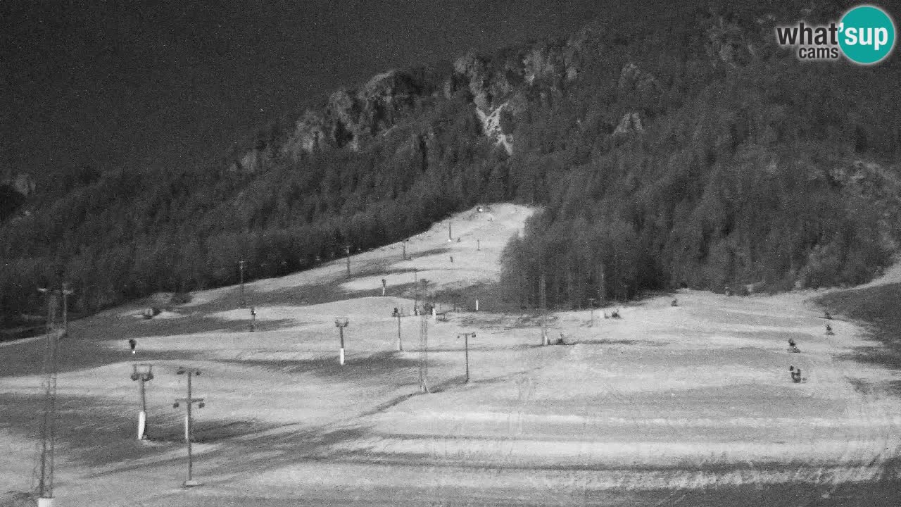 Webcam Kranjska Gora SKI – panoramica Piste centrali