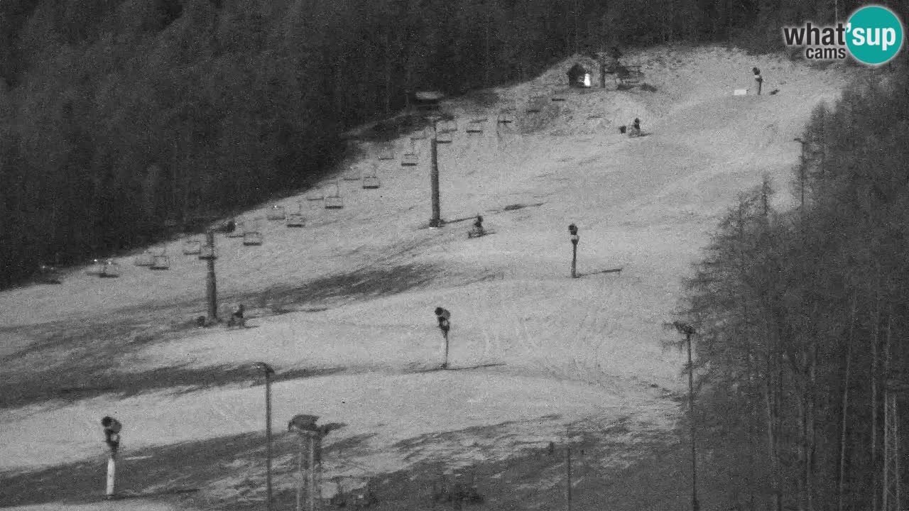 Webcam Kranjska Gora SKI – panoramica Piste centrali